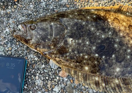 念願の…+オマケ